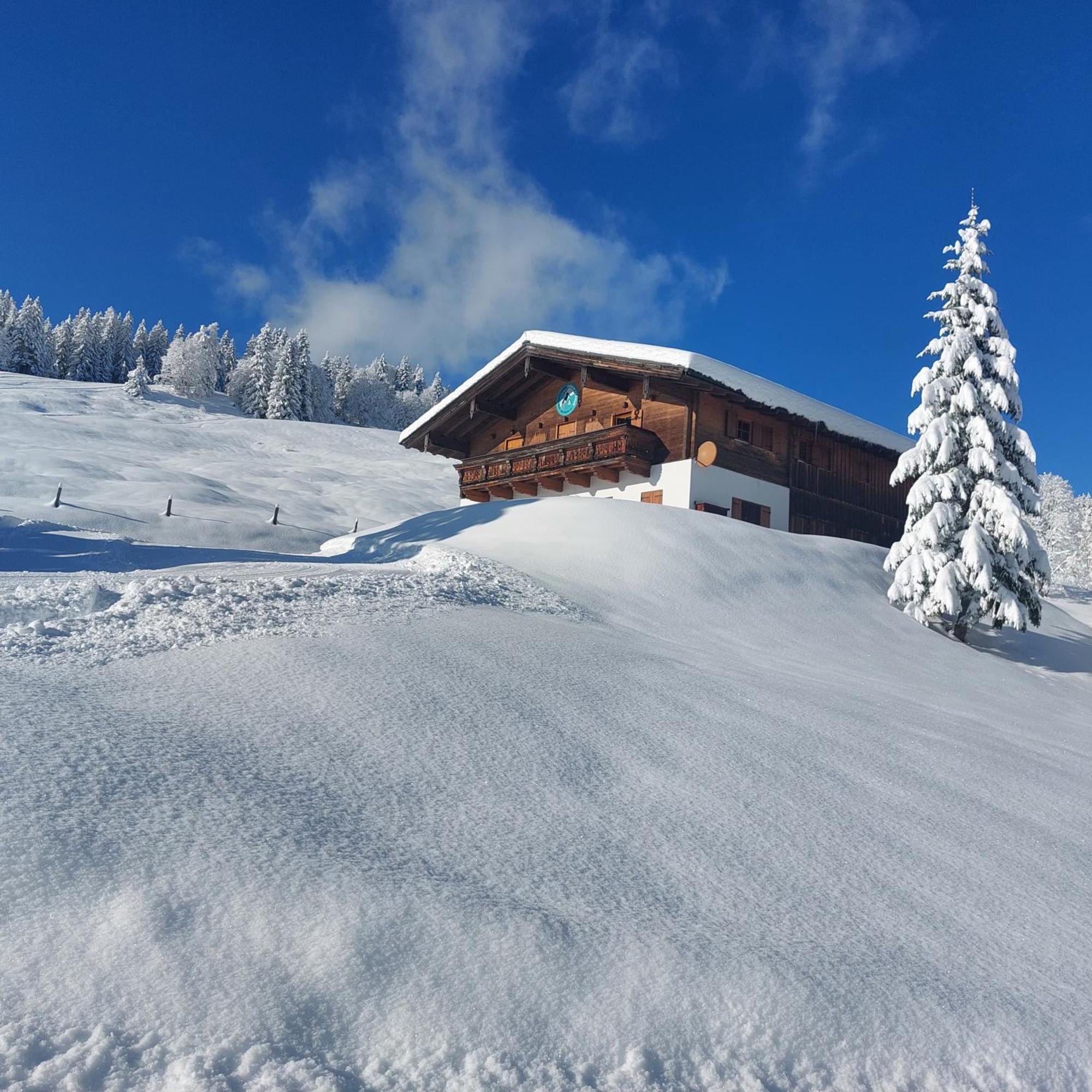 Апарт готель Haus Obweg - Postalm Галлайн Екстер'єр фото